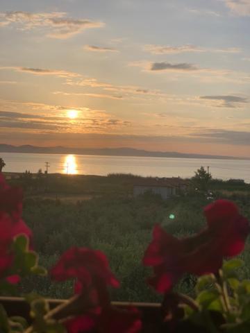 Kalelia Appartement Nea Poteidaia Buitenkant foto